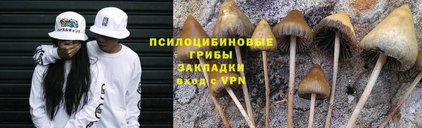 прущая мука Волоколамск