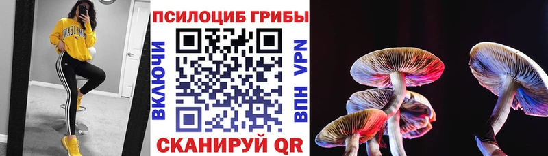 KRAKEN   Поворино  Псилоцибиновые грибы прущие грибы 